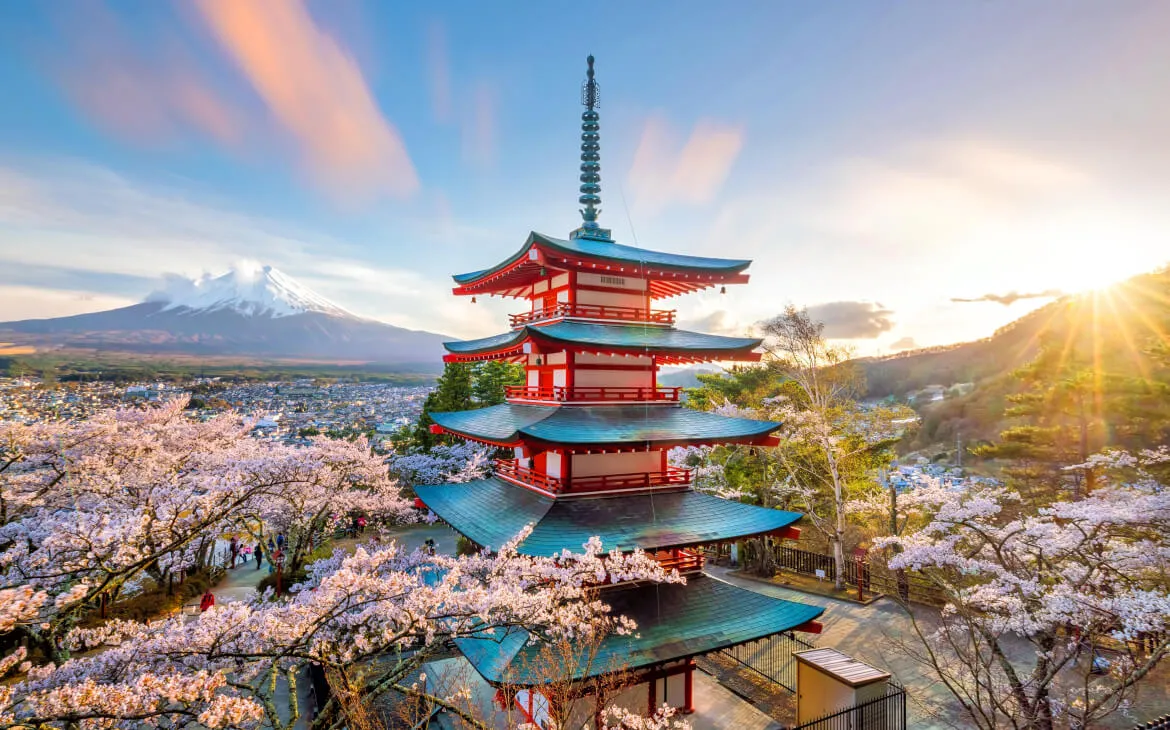 Tokyo Cultural Immersion